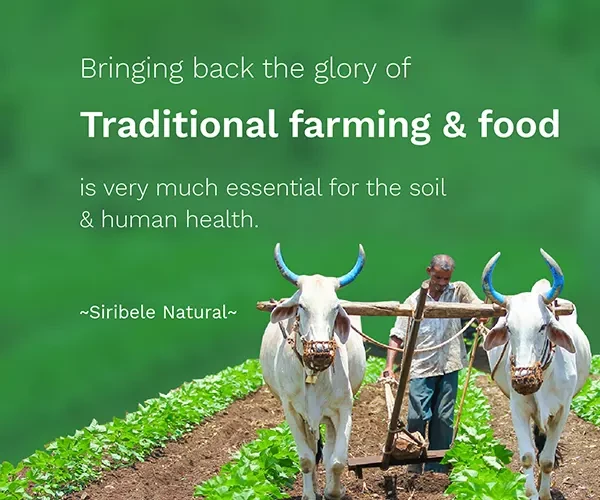 Bringing back the glory of traditional farming and food